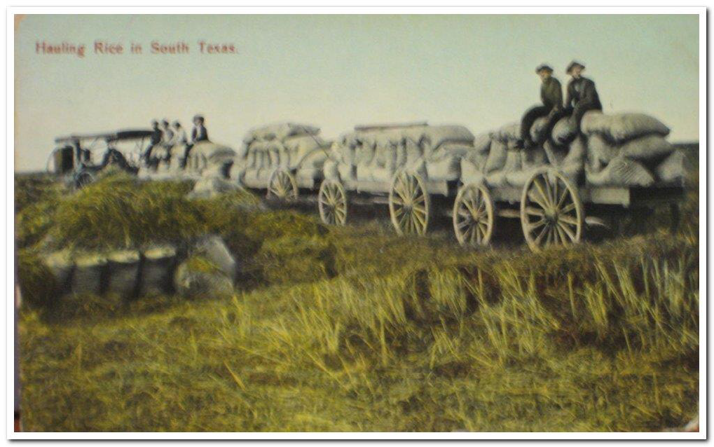 Hauling Rice in South Texas